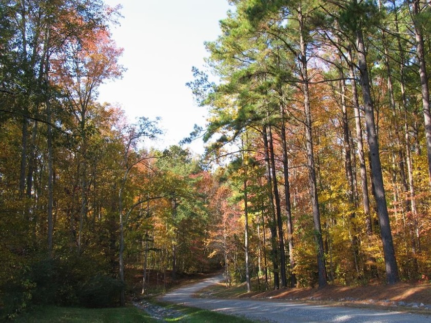 Great price on a 2 acre building site in the Glenwood - Beach Lot for sale in Irvington, Virginia on Beachhouse.com