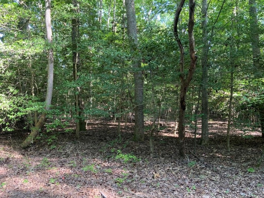Beautiful large lot in Heritage Point to build your dream home! - Beach Lot for sale in Lancaster, Virginia on Beachhouse.com