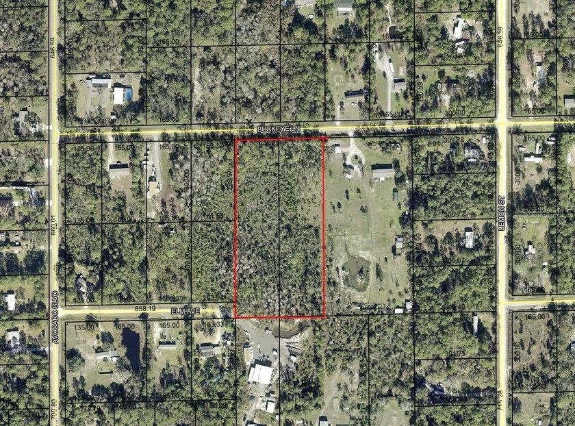 Two adjoining parcels totaling 5 acres (330'x652') zoned for - Beach Acreage for sale in Bunnell, Florida on Beachhouse.com