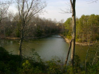 WATER ACCESS COMMUNITY ON GREAT WICOMICO RIVER. AMENITIES - Beach Lot for sale in Heathsville, Virginia on Beachhouse.com