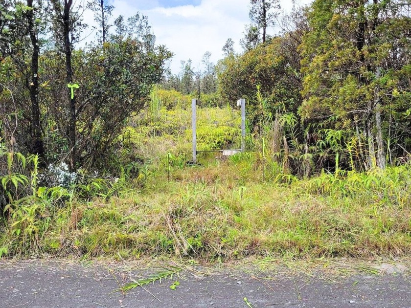 Aloha! Welcome to this beautiful peace of paradise where dreams - Beach Lot for sale in Mountain View, Hawaii on Beachhouse.com