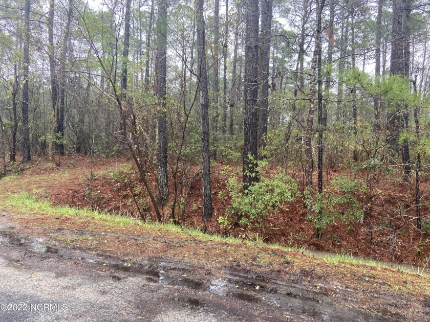 Great wooded lot in Carolina Shores North!  Almost 1/2 acre for - Beach Lot for sale in Calabash, North Carolina on Beachhouse.com