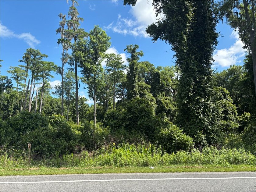 A beautiful 1.14-acre homesite opportunity in the desirable - Beach Lot for sale in Bunnell, Florida on Beachhouse.com