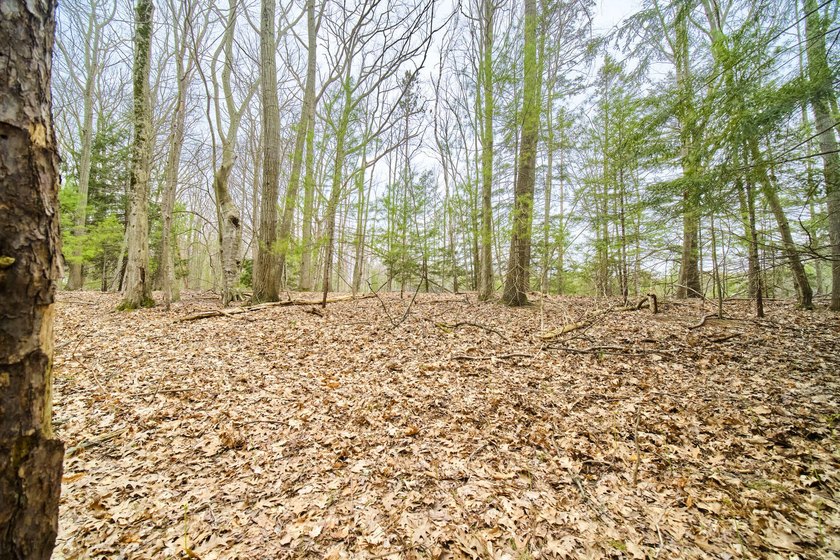 Build in lake country! Located just off Lakeshore Road on Piney - Beach Lot for sale in Manistee, Michigan on Beachhouse.com
