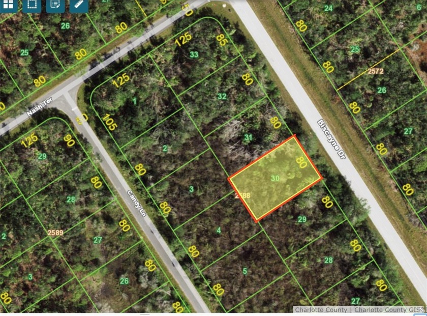 Take advantage of this amazing opportunity to invest in land in - Beach Lot for sale in Port Charlotte, Florida on Beachhouse.com