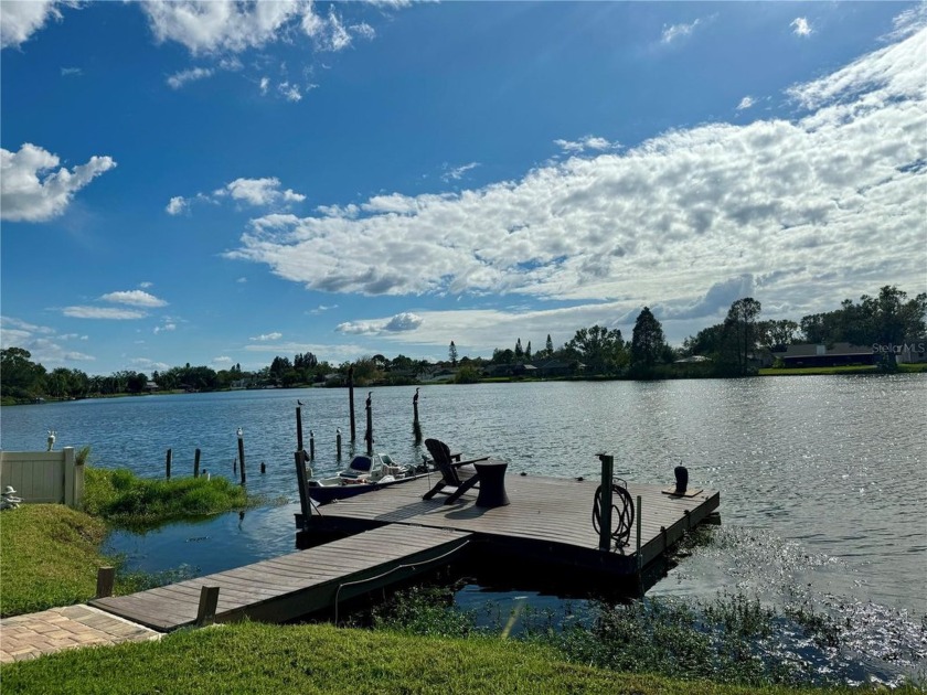 Discover your dream home on the lake! This stunning 4-bedroom - Beach Home for sale in Tampa, Florida on Beachhouse.com