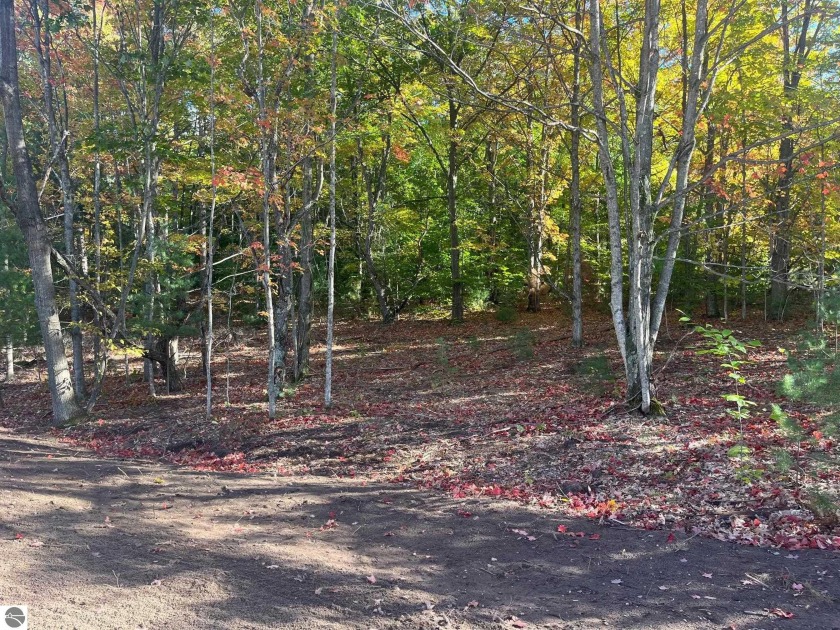 Discover your slice of Leelanau County's paradise on this lovely - Beach Acreage for sale in Maple City, Michigan on Beachhouse.com