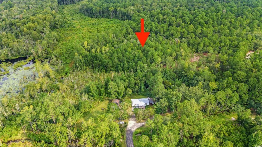 2 Acres of wooded land zoned CFA ocated right off of Hwy 90 just - Beach Lot for sale in Longs, South Carolina on Beachhouse.com