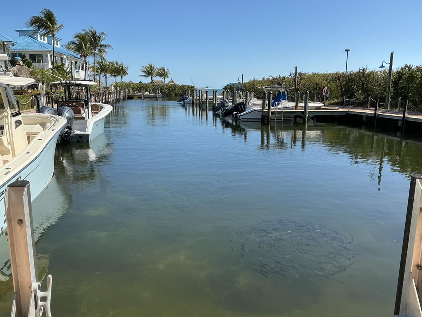 Top Floor 2/2 Condo with an Ocean view !! Upgraded condo with - Beach Condo for sale in Key Largo, Florida on Beachhouse.com