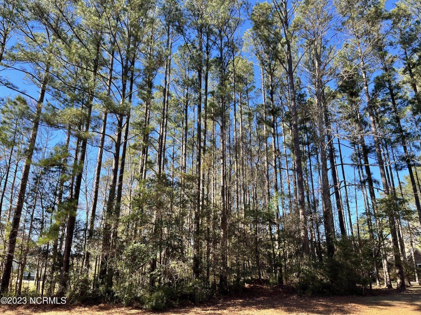 Looking for an opportunity to start your coastal lifestyle? This - Beach Lot for sale in Havelock, North Carolina on Beachhouse.com