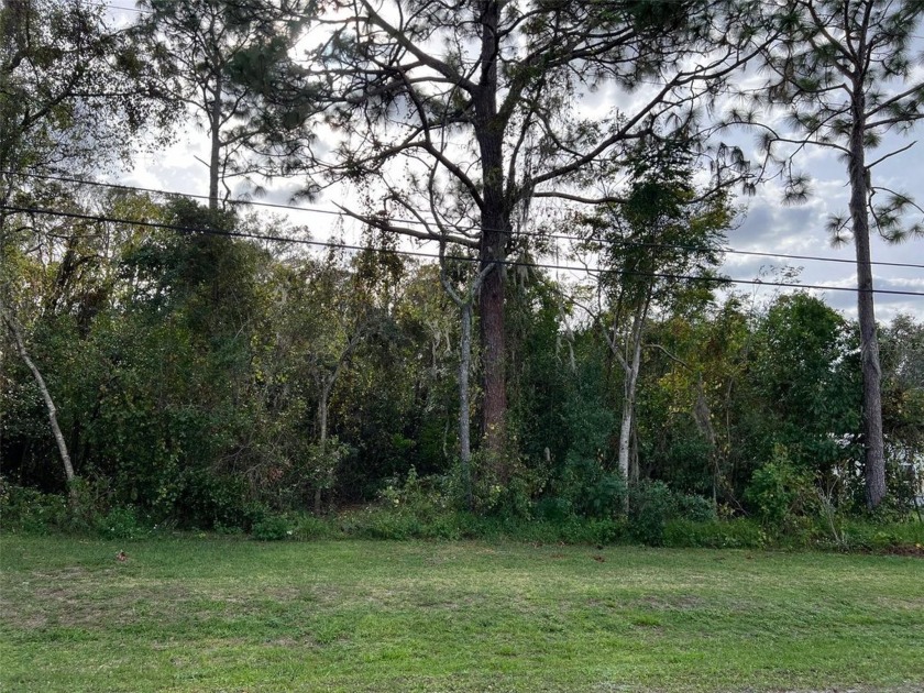 3 lots, #14,15,16 on Sholtz. Moon Lake subdivision has a - Beach Lot for sale in New Port Richey, Florida on Beachhouse.com