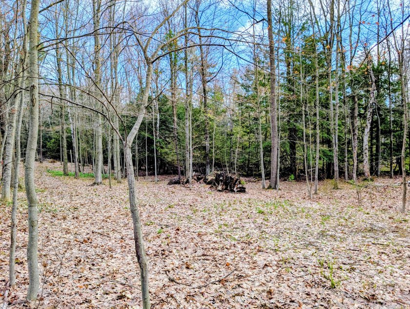 Escape to this beautiful 1.1-acre parcel on Jagger Rd, where the - Beach Lot for sale in Ludington, Michigan on Beachhouse.com