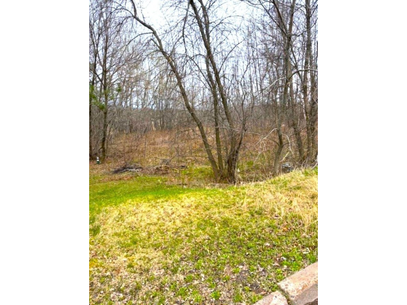 Vacant Land. Proof of funds with all offers. Just imagine what - Beach Lot for sale in Duluth, Minnesota on Beachhouse.com
