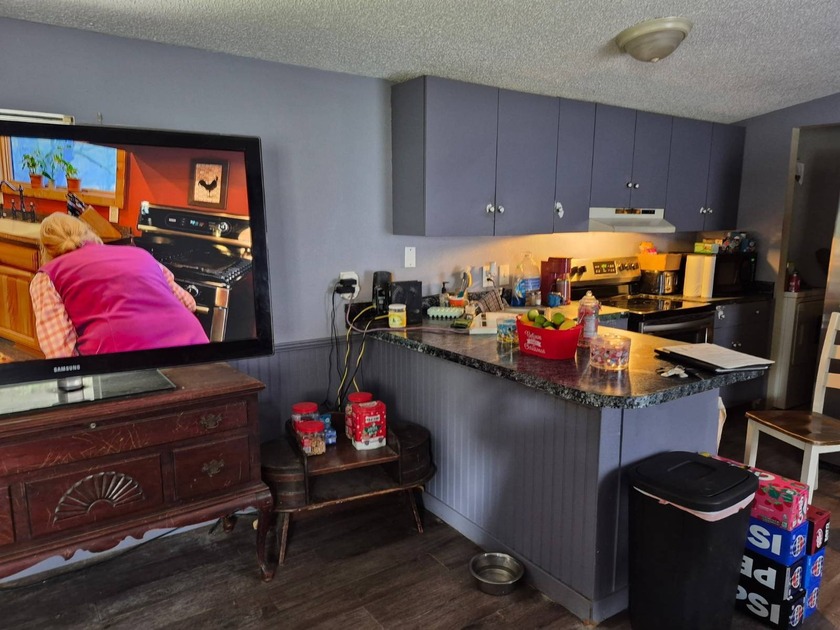 Nice family-friendly community in desirable New Smyrna - Beach Home for sale in New Smyrna Beach, Florida on Beachhouse.com