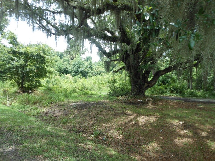 13.44 acres on Cedar Hall Road, Good Road frontage, live oaks - Beach Acreage for sale in Edisto Island, South Carolina on Beachhouse.com