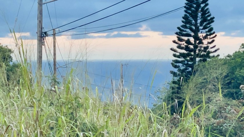 Build your dream home on this large corner lot in a quiet - Beach Lot for sale in Naalehu, Hawaii on Beachhouse.com