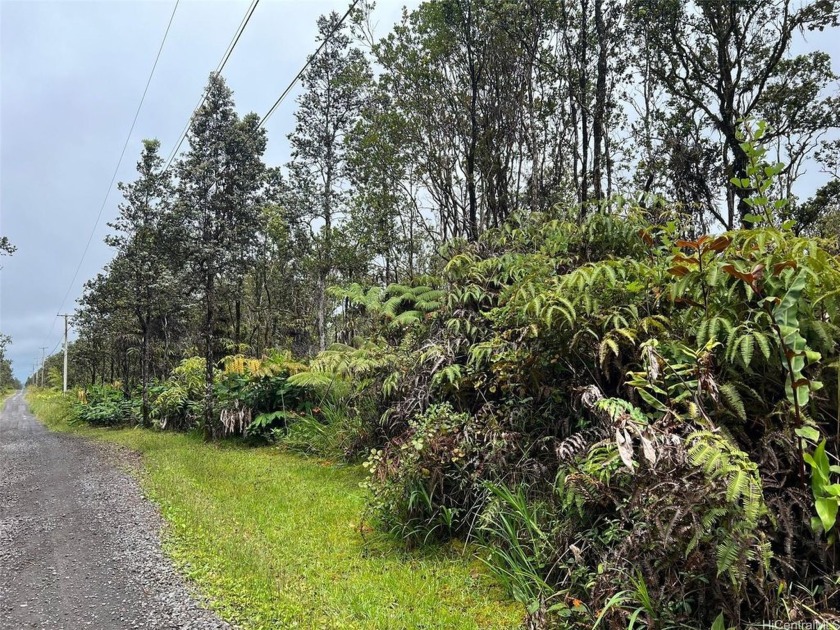 E Komo Mai, Welcome to Fern Forest Vacation Estates.  This - Beach Lot for sale in Volcano, Hawaii on Beachhouse.com