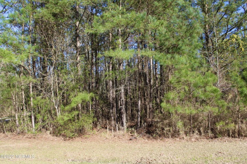 Looking for a private waterfront lot to build your dream home? - Beach Lot for sale in Belhaven, North Carolina on Beachhouse.com