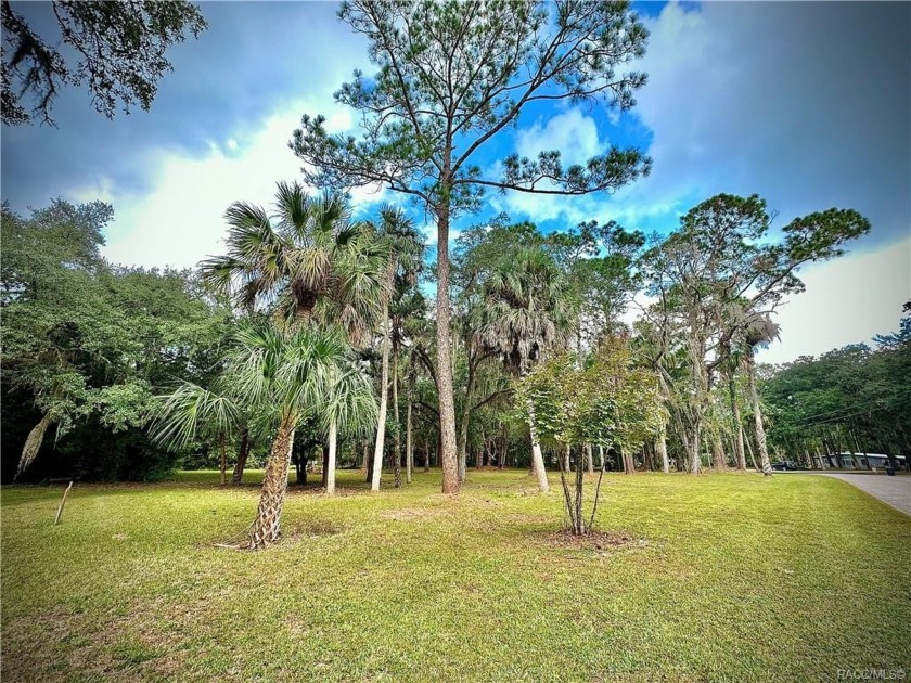 Come see one of the LARGEST and most Tranquil Residential - Beach Lot for sale in Yankeetown, Florida on Beachhouse.com