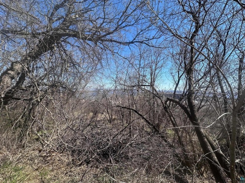 Room with a view!  Here is a .18 acre parcel in the City of - Beach Lot for sale in Duluth, Minnesota on Beachhouse.com