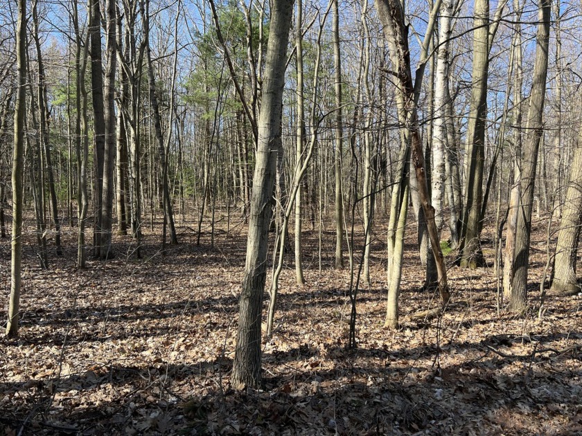 Wooded building lot in desirable Hamlin Lake Estates. Build your - Beach Lot for sale in Ludington, Michigan on Beachhouse.com