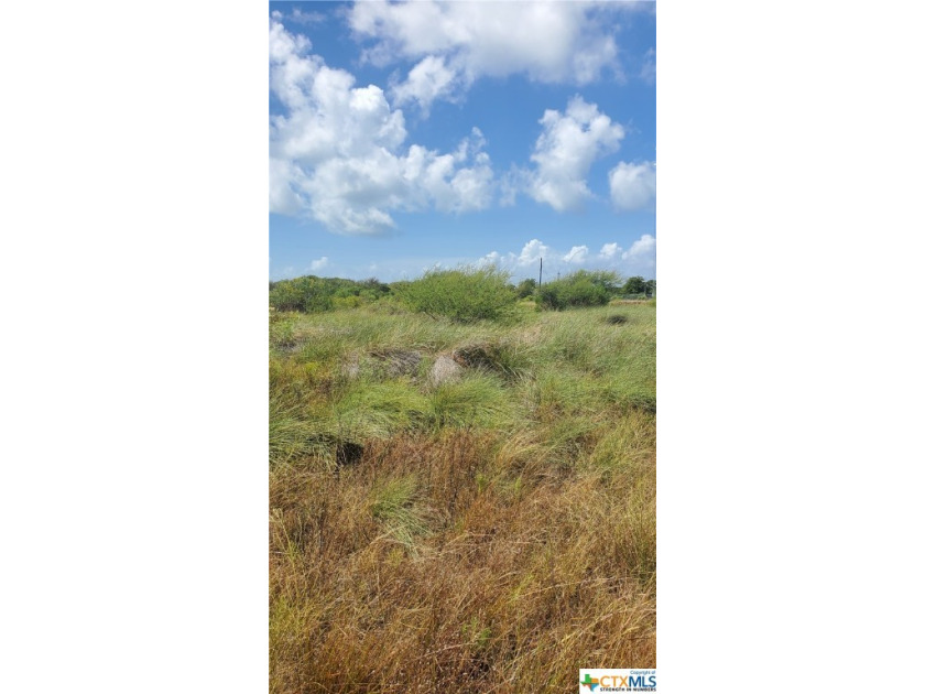 Two interior lots facing *unimproved* W. Houston Ave. between - Beach Lot for sale in Seadrift, Texas on Beachhouse.com