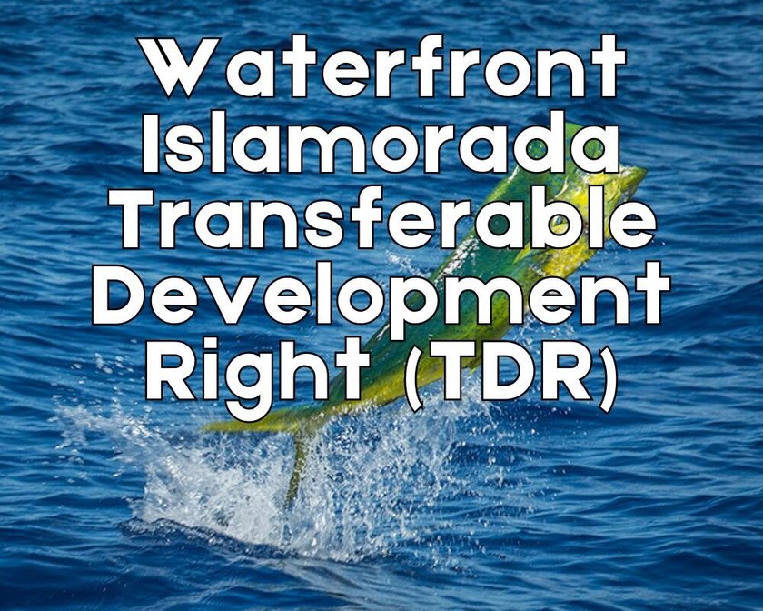 This is for the sale of 1 (one) Waterfront Transferable - Beach Lot for sale in Upper Matecumbe Key, Florida on Beachhouse.com