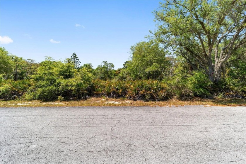 This 1.07 acre lot is ready for your future home! Single Family - Beach Lot for sale in Crystal River, Florida on Beachhouse.com