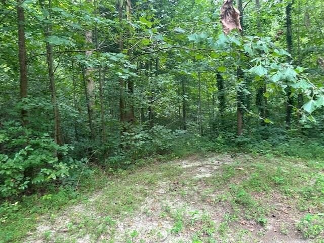 Large acreage parcel in a great subdivision close to Warsaw - Beach Lot for sale in Warsaw, Virginia on Beachhouse.com