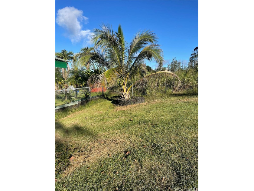 CLEARED fenced in lot on Lilikoi Drive in Ainaloa Subdivision - Beach Lot for sale in Pahoa, Hawaii on Beachhouse.com