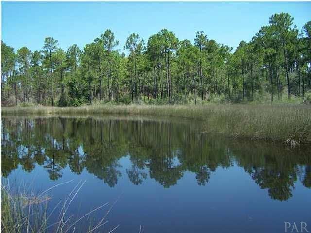 PRIVACY AND GREAT LOCATION! THIS 15 ACRE TRACT OF WOODED LAND IS - Beach Acreage for sale in Milton, Florida on Beachhouse.com