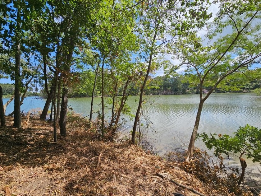 Waterfront lot on Lowes Pond in White Sand Harbour, offering - Beach Lot for sale in Heathsville, Virginia on Beachhouse.com