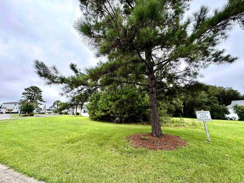 Create your coastal retreat in the charming waterfront community - Beach Lot for sale in Georgetown, South Carolina on Beachhouse.com