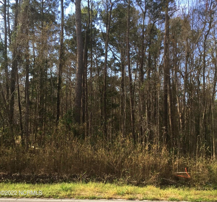 Vacant lot ready for you to build or put a manufactured home on! - Beach Lot for sale in Supply, North Carolina on Beachhouse.com