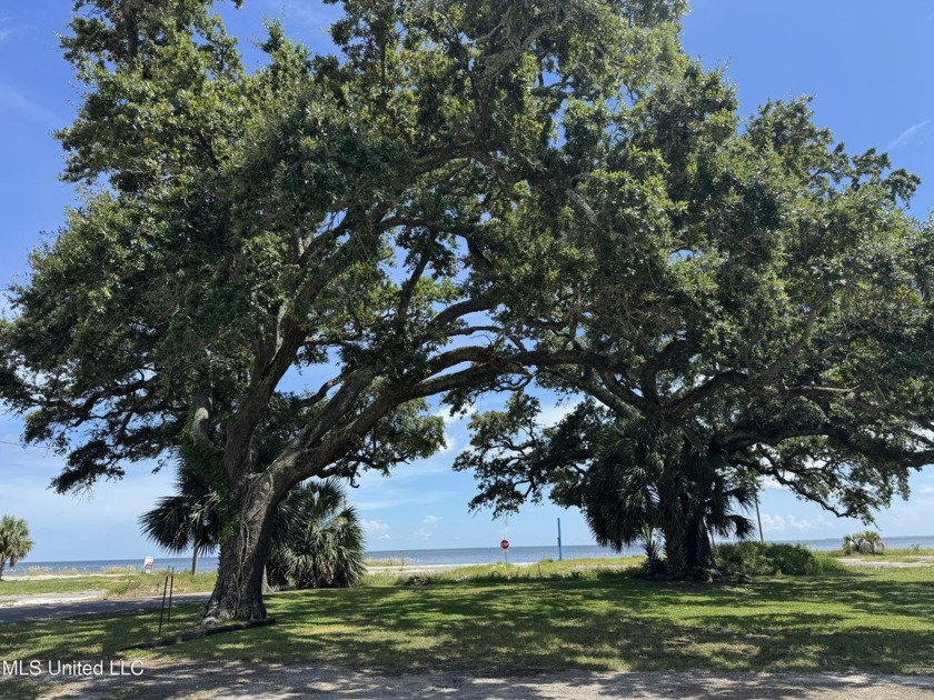 Gorgeous lot just steps from the Gulf.  Prime development - Beach Lot for sale in Gulfport, Mississippi on Beachhouse.com