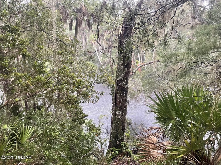 Discover the charm of Old Florida living on this rare 5 acre - Beach Acreage for sale in Port Orange, Florida on Beachhouse.com