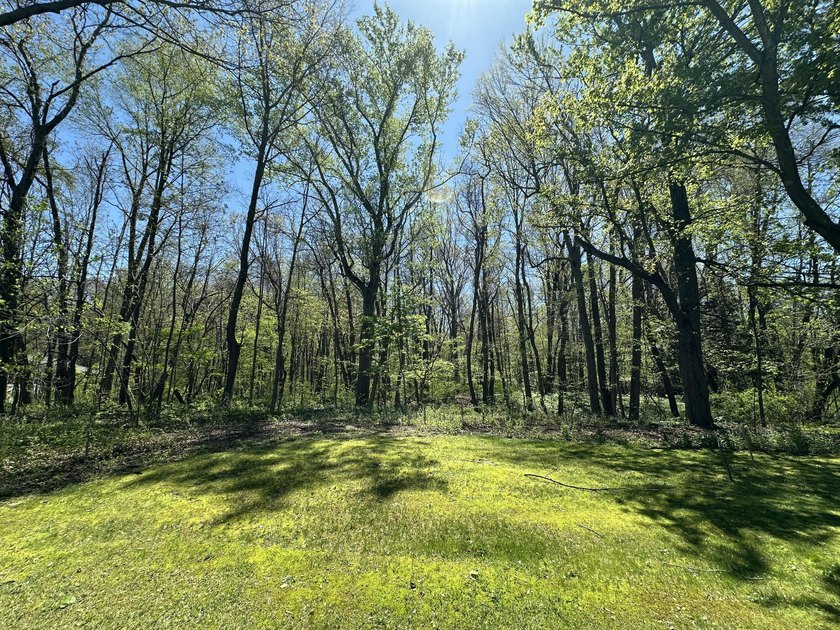 Create your ideal getaway on this beautiful partially wooded - Beach Lot for sale in New Buffalo, Michigan on Beachhouse.com