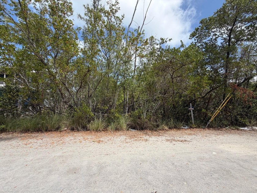 Prime vacant lot in Twin Lakes--build your Florida Keys dream - Beach Lot for sale in Key Largo, Florida on Beachhouse.com
