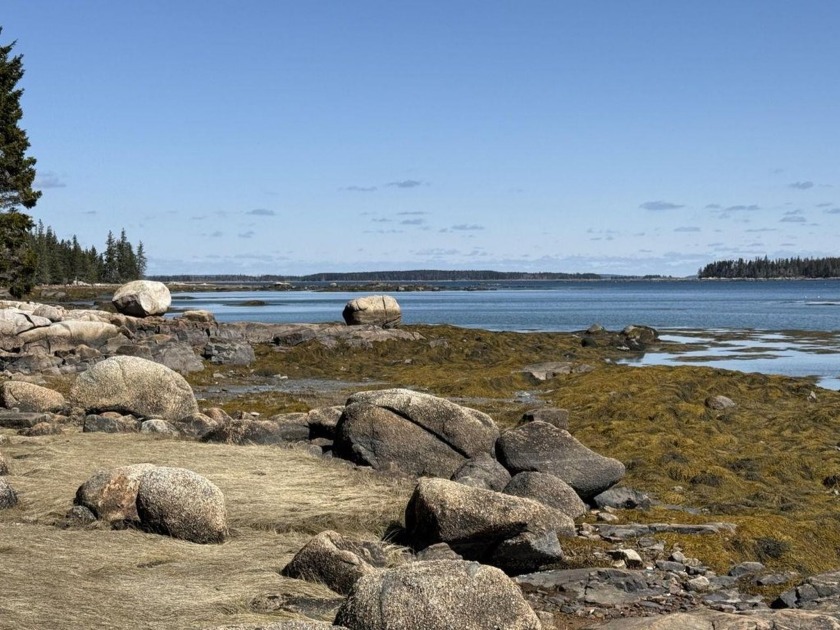 Very rare offering of a large undeveloped parcel of land off - Beach Lot for sale in Swans Island, Maine on Beachhouse.com