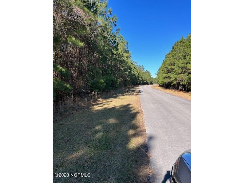 Beautiful creek front level lot. Approximately 160 feet of - Beach Lot for sale in Havelock, North Carolina on Beachhouse.com