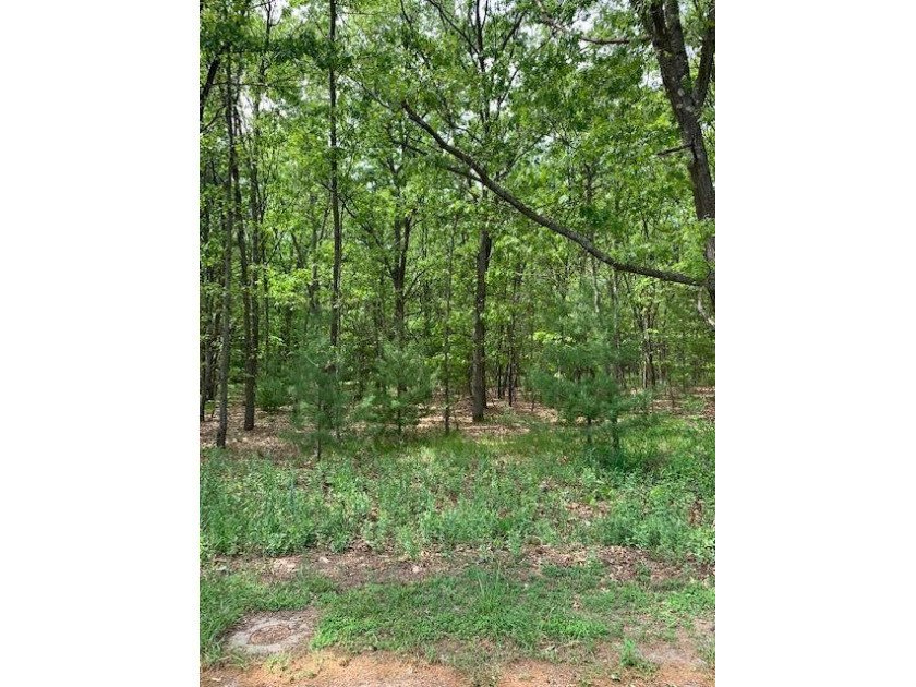 LOVELY WOODED LOT---Very close to White Lake---Part of the - Beach Lot for sale in Montague, Michigan on Beachhouse.com