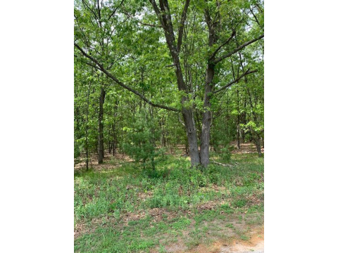 Lovely Wooded Lot overlooking White Lake!!  Part of the - Beach Lot for sale in Montague, Michigan on Beachhouse.com