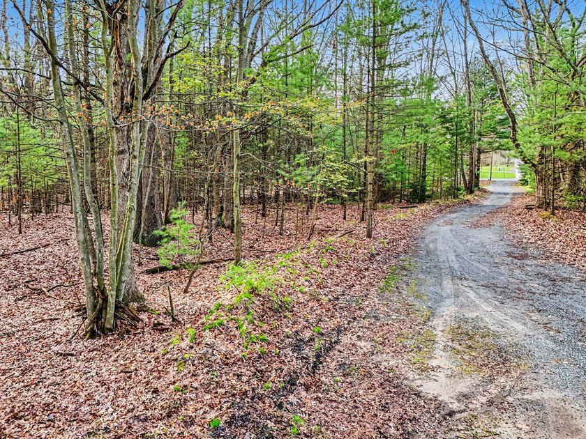 Great building site in the Village of Pentwater. Larger than - Beach Lot for sale in Pentwater, Michigan on Beachhouse.com