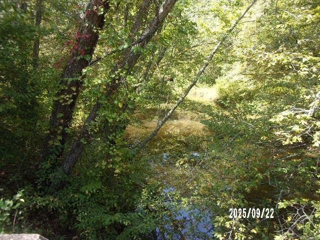 Enjoy your own private woodland retreat! 44 wooded acres with - Beach Lot for sale in Warsaw, Virginia on Beachhouse.com