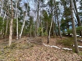 Build where people vacation. This vacant parcel on desirable - Beach Lot for sale in Manistee, Michigan on Beachhouse.com