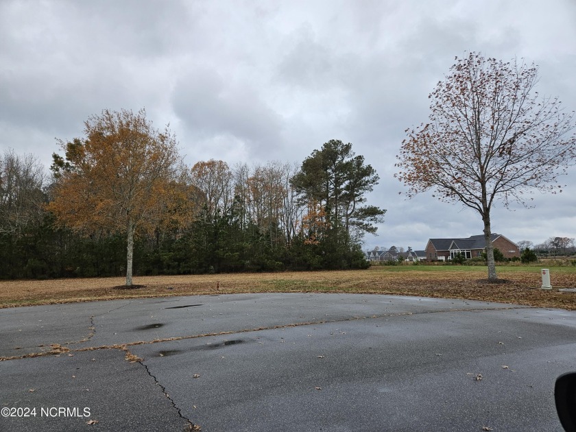 Lovely treed lot backing up to nice lake in Belmont area of - Beach Lot for sale in Hertford, North Carolina on Beachhouse.com
