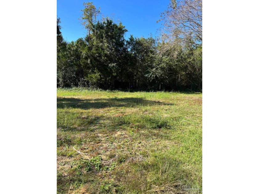 Looking for remote living that is still close to everything? - Beach Acreage for sale in Foley, Alabama on Beachhouse.com