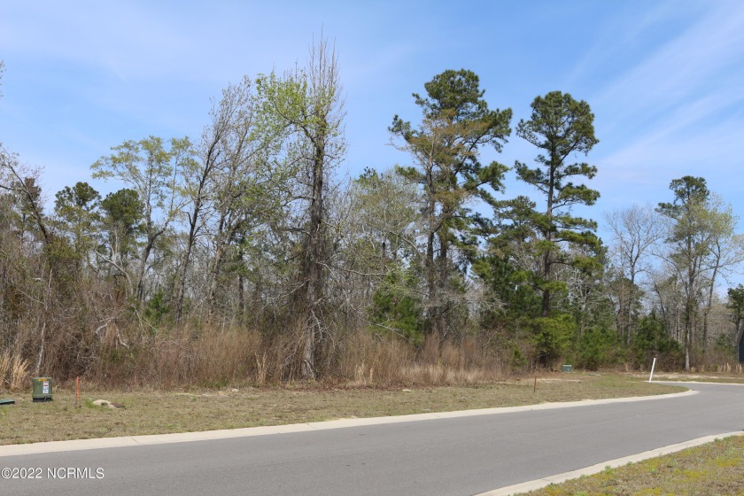 Come to see this beautiful corner lot in the Bluffs on the Cape - Beach Lot for sale in Leland, North Carolina on Beachhouse.com