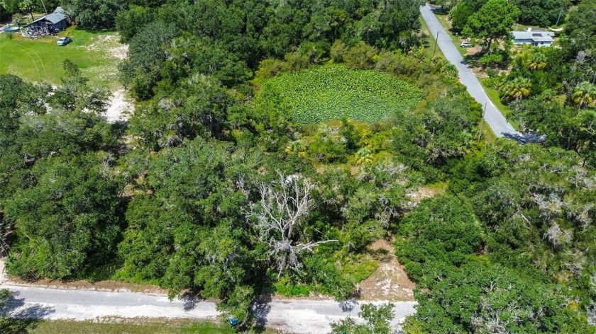 Welcome to your own private canvas for dream living -- 2.01 - Beach Acreage for sale in Crystal River, Florida on Beachhouse.com