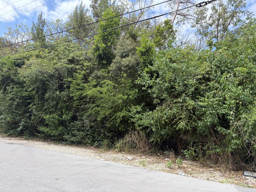 Build your dream home in a desirable subdivision in Key Largo - Beach Lot for sale in Key Largo, Florida on Beachhouse.com